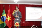 Việt Nam là đối tác quan trọng của Brazil ở Đông Nam Á