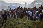 Mexico cảnh báo nạn di cư trái phép gia tăng từ châu Á và châu Phi