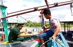 Bình Thuận: Xử phạt tàu cá không duy trì kết nối thiết bị giám sát hành trình