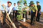 Bạc Liêu: Phát động trồng cây, trồng rừng ổn định môi trường sinh thái