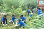 Nhiều hoạt động ý nghĩa của tuổi trẻ Bắc Ninh trong &#39;Mùa hè xanh&#39;