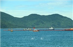 Thừa Thiên - Huế: Diễn tập ứng phó sự cố tràn dầu cấp khu vực năm 2024