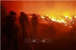 Hy Lạp và Mỹ chật vật ứng phó cháy rừng trên diện rộng