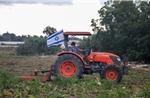 Israel sẽ tuyển 70.000 lao động nông nghiệp nước ngoài trong năm 2025