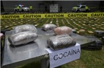 Thu giữ gần 200 tấn cocaine trong chiến dịch bài trừ ma túy đa quốc gia