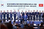 Thủ tướng Phạm Minh Chính thăm Hàn Quốc: Mối lương duyên đơm hoa, kết trái