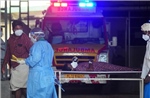 Ấn Độ: Bang Kerala ghi nhận 2 ca nhiễm virus Nipah mới
