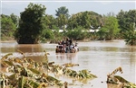 Trên 100 người dân ở Myanmar bị ngộ độc sau khi tiêu thụ thực phẩm cứu trợ lũ lụt