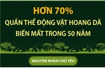 Hơn 70% quần thể động vật hoang dã biến mất trong 50 năm