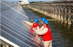 Mỹ điều tra an ninh quốc gia đối với thiết bị bay không người lái và polysilicon nhập khẩu