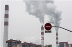 IEA: Lượng phát thải CO2 năm 2024 đạt mức kỷ lục