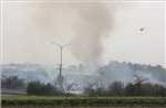 Israel đối mặt cháy rừng quy mô lớn nghi do &#39;khủng bố&#39;
