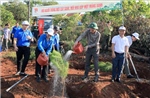Tưởng nhớ Bác Hồ bằng hành động thiết thực, ý nghĩa nhất