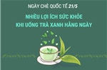 Ngày Chè quốc tế 21/5: Nhiều lợi ích sức khỏe khi uống trà xanh hằng ngày