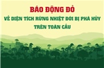 Báo động đỏ về diện tích rừng nhiệt đới bị phá hủy trên toàn cầu