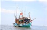 Khắc phục &#39;thẻ vàng&#39; IUU: Nhiều giải pháp quản lý, giám sát tàu cá hiệu quả