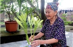Viết tiếp hành trình tự hào của các nhà báo - chiến sỹ