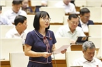 Kỳ họp thứ 9, Quốc hội khóa XV: Về cấp bù học phí và đảm bảo nguồn lực đầu tư hạ tầng giáo dục
