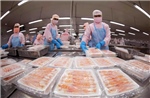 6 tháng, xuất khẩu nông lâm thủy sản ước tăng trên 14%