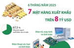 6 tháng năm 2025: 7 mặt hàng xuất khẩu trên 8 tỷ USD