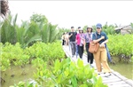 Xu hướng xanh hóa trong ngành &#39;công nghiệp không khói&#39;