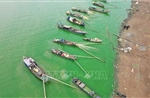 Nước hồ Trị An đổi màu do tảo xanh lan rộng