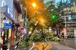 Hà Nội: Giông lốc thổi mạnh gây đổ nhiều phương tiện