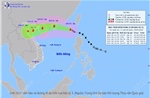 Bão số 3 mạnh, di chuyển nhanh, hoàn lưu rộng, không chủ quan trong ứng phó
