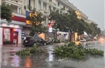 Hưng Yên: Cây xanh, biển hiệu quảng cáo bị gẫy, đổ do mưa lớn