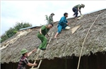 Chỉ đạo của Ban Bí thư về việc ứng phó với cơn bão số 3 (Wipha)