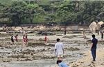 Tăng cường bảo vệ rạn san hô tại Hòn Chồng (Nha Trang)