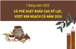 7 tháng năm 2025, cà phê xuất khẩu cao kỷ lục, vượt kim ngạch cả năm 2024