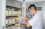 Nỗ lực khắc phục thiếu máu điều trị, kịp thời cứu bệnh nhân