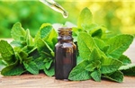Chuyên gia lưu ý về cảm giác&#39;mát ảo&#39; khi dùng các sản phẩm chứa tinh dầu bạc hà