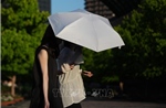 Nhật Bản: Bản đồ nhiệt &#39;dẫn lối&#39; người dân Tokyo tránh nóng