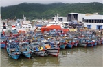 Đà Nẵng và Quảng Ngãi khẩn trương kêu gọi tàu thuyền vào nơi trú ẩn an toàn