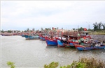 Các tỉnh, thành phố có phương án di dời 152.387 hộ/586.770 khẩu và cấm biển