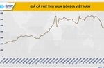 Cà phê thế giới khan hiếm, Việt Nam có phá vỡ kịch bản ‘được mùa mất giá’?
