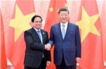 Thúc đẩy hợp tác chiến lược toàn diện Trung - Việt đạt những kết quả thực chất hơn