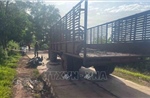 Khuyến cáo an toàn khi điều khiển xe máy cày kéo theo rơ-moóc