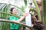 Phụ nữ Đồng bằng sông Cửu Long khởi nghiệp thích ứng biến đổi khí hậu - Bài 2: Cơ hội từ thách thức