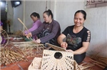 Phụ nữ Đồng bằng sông Cửu Long khởi nghiệp thích ứng biến đổi khí hậu - Bài cuối: Đồng hành cùng phụ nữ
