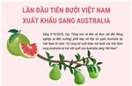 Lần đầu tiên bưởi Việt Nam xuất khẩu sang Australia