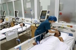 Sáu người nhập viện trong tình trạng nguy kịch do ngộ độc rượu ngâm rễ cây