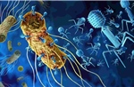 Mô hình 3D về virus thực khuẩn hứa hẹn giải pháp thay thế thuốc kháng sinh