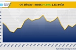 Dòng tiền quay lại thị trường hàng hóa, MXV-Index tăng hơn 1%