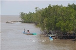 Cà Mau phấn đấu cơ bản xử lý sạt lở bờ sông, bờ biển vào năm 2030