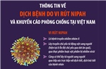 Thông tin về dịch bệnh do vi rút Nipah và khuyến cáo phòng chống tại Việt Nam