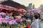 Hương xuân từ chợ hoa Tết tại Hong Kong