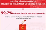 Bầu cử Quốc hội và HĐND: 99,70% cử tri cả nước tham gia bỏ phiếu